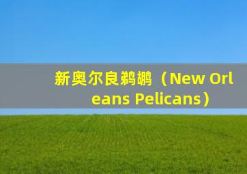 新奥尔良鹈鹕（New Orleans Pelicans）